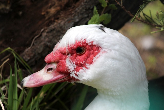 邹家华同志生平.