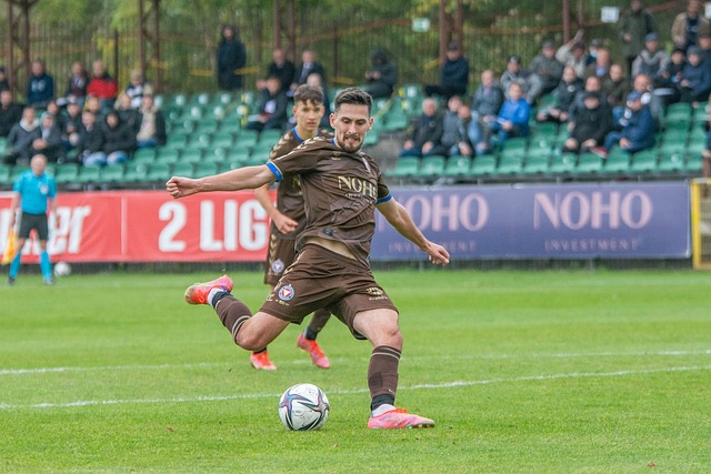 罗杰斯争夺 罗杰斯争夺