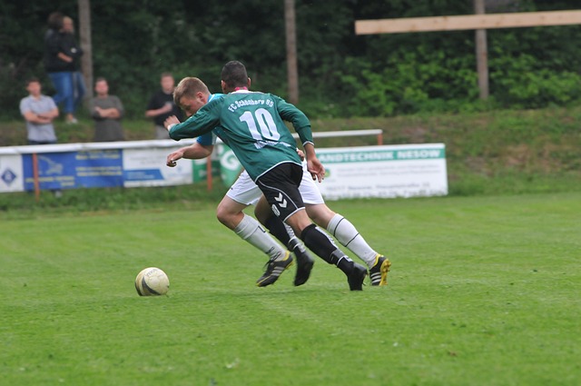 诚和对现有 诚和对现有